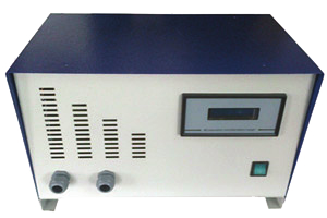 dnsforklift charger1